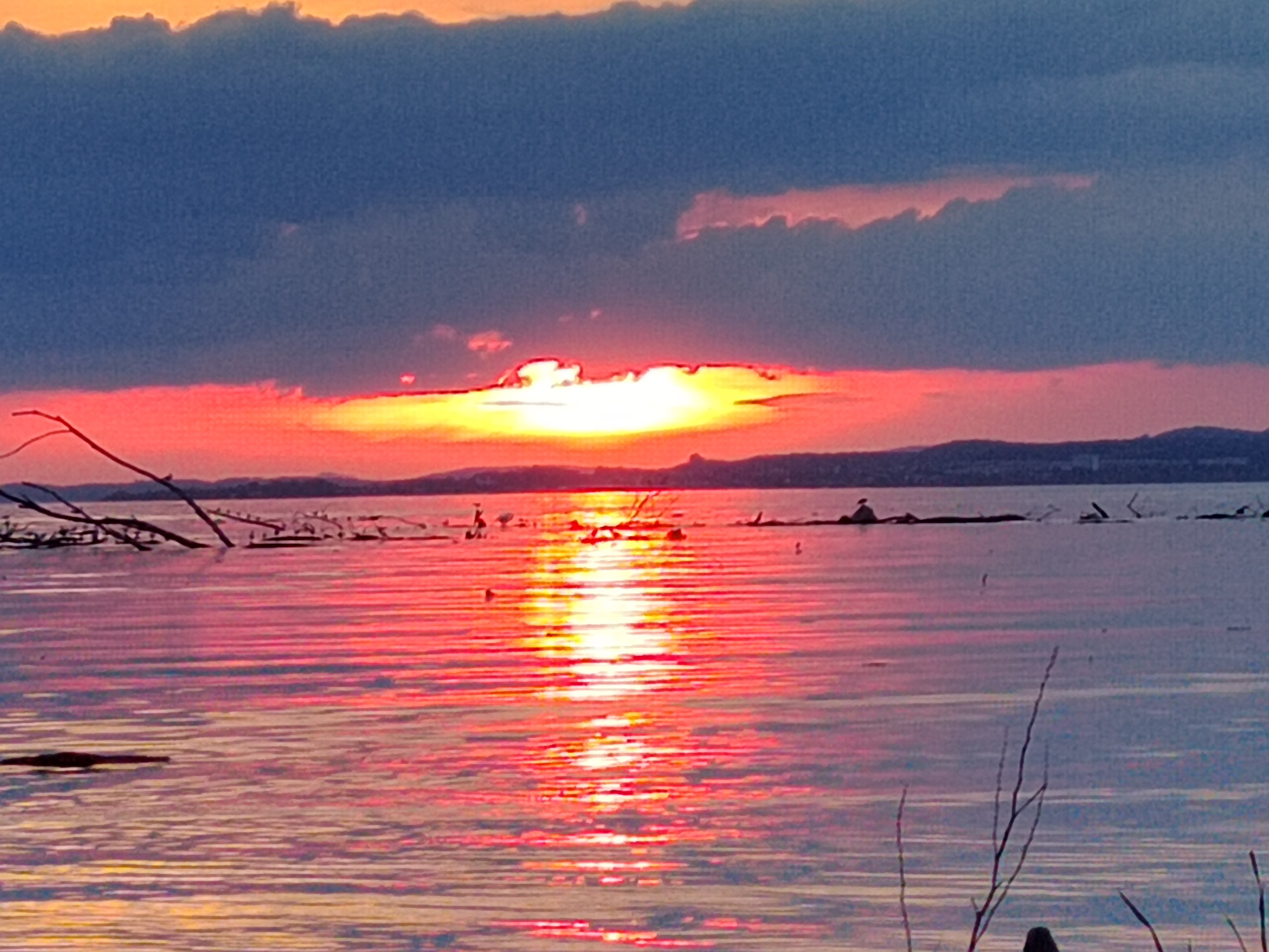 20230506203441 IMG 20230506 203441